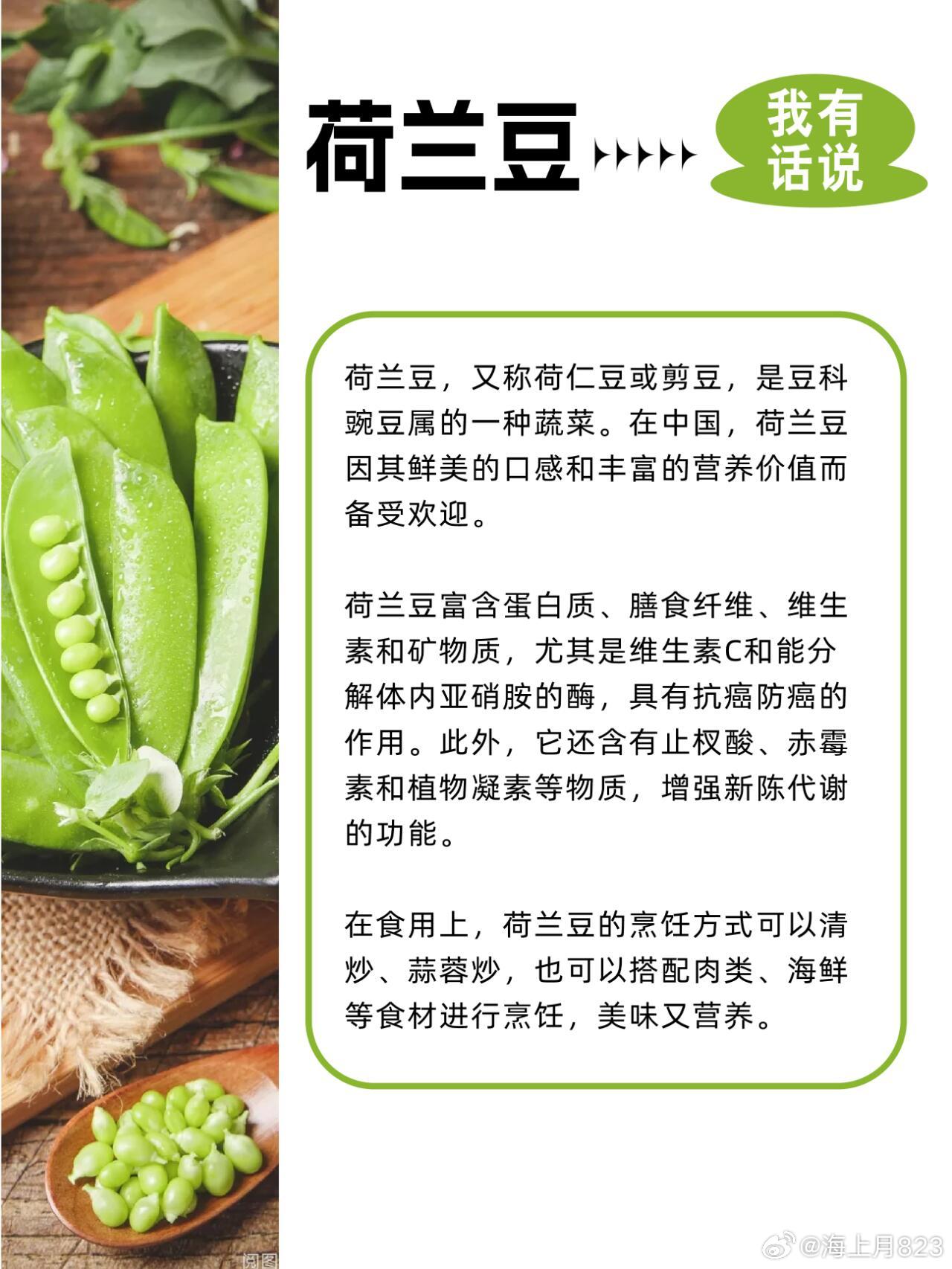 荷蘭豆價格最新行情指南，掌握最新行情，洞悉荷蘭豆價格動態(tài)