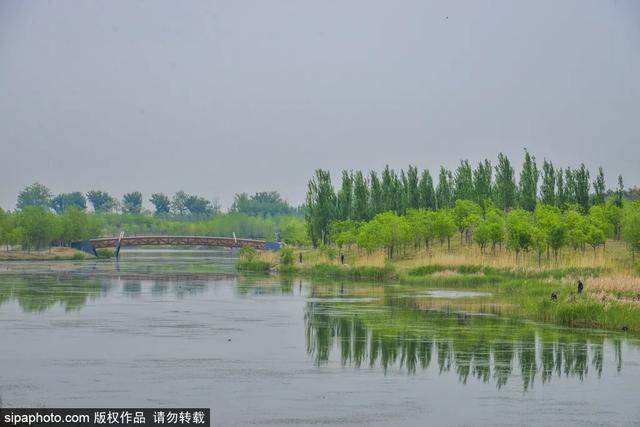 北京馬家灣濕地公園，巷弄綠意與隱秘特色小店探秘