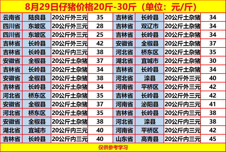 土雜豬最新價格動態(tài)，一場尋找內心平靜的旅程